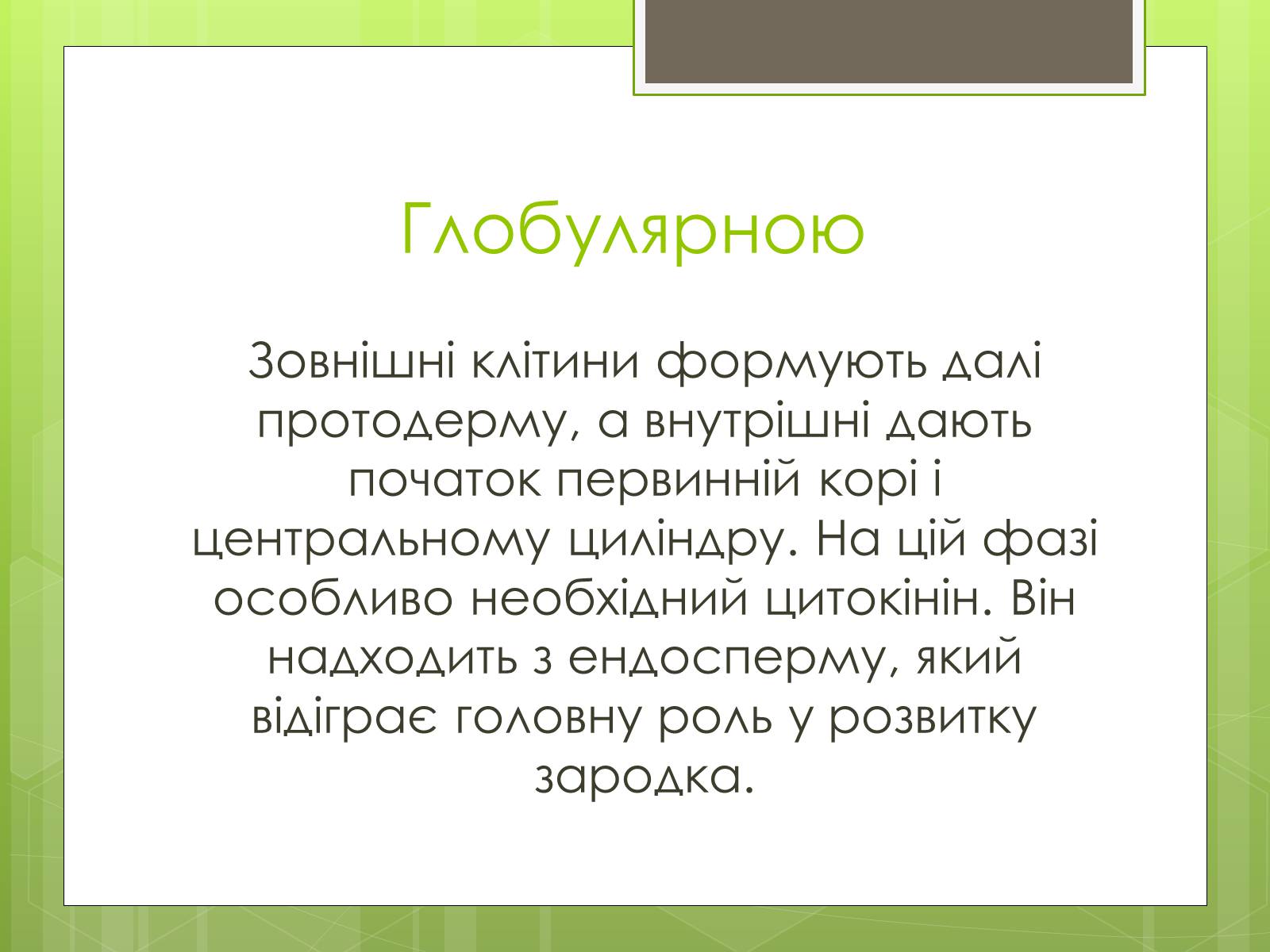 Презентація на тему «Ембріональний етап» - Слайд #7