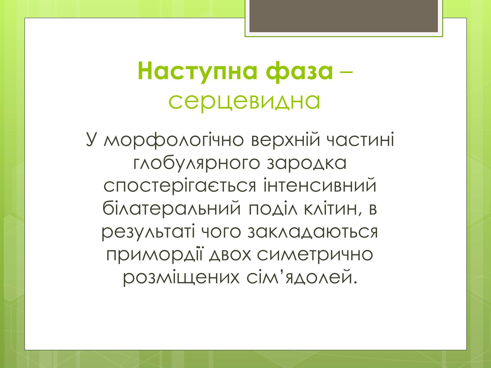 Презентація на тему «Ембріональний етап» - Слайд #8