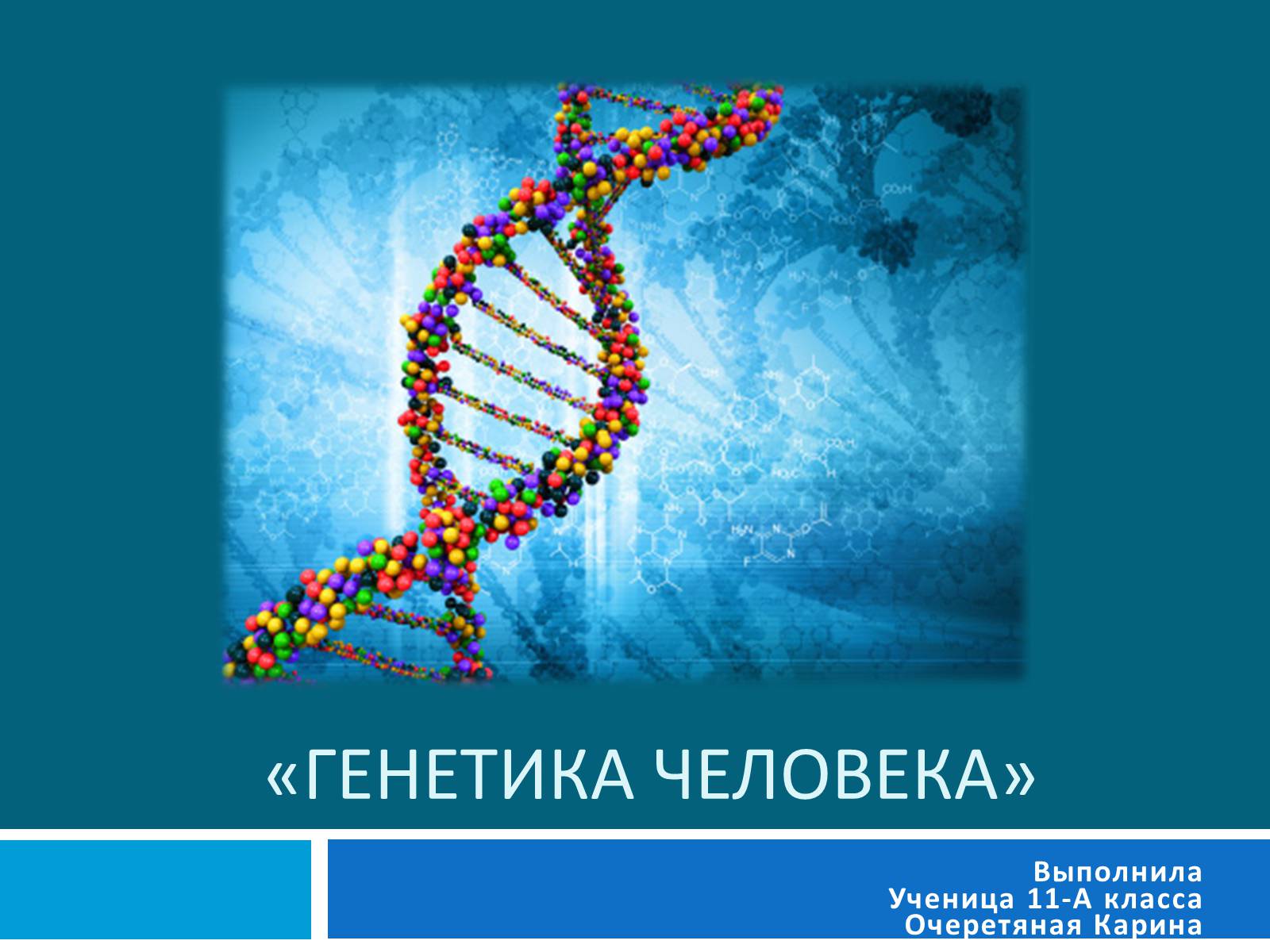 Презентация на тему генетика. Генетика человека. Человек в генетике. Рисунки на тему генетика. Рисунки на тему генетика человека.