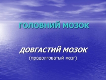 Презентація на тему «Довгастий мозок»