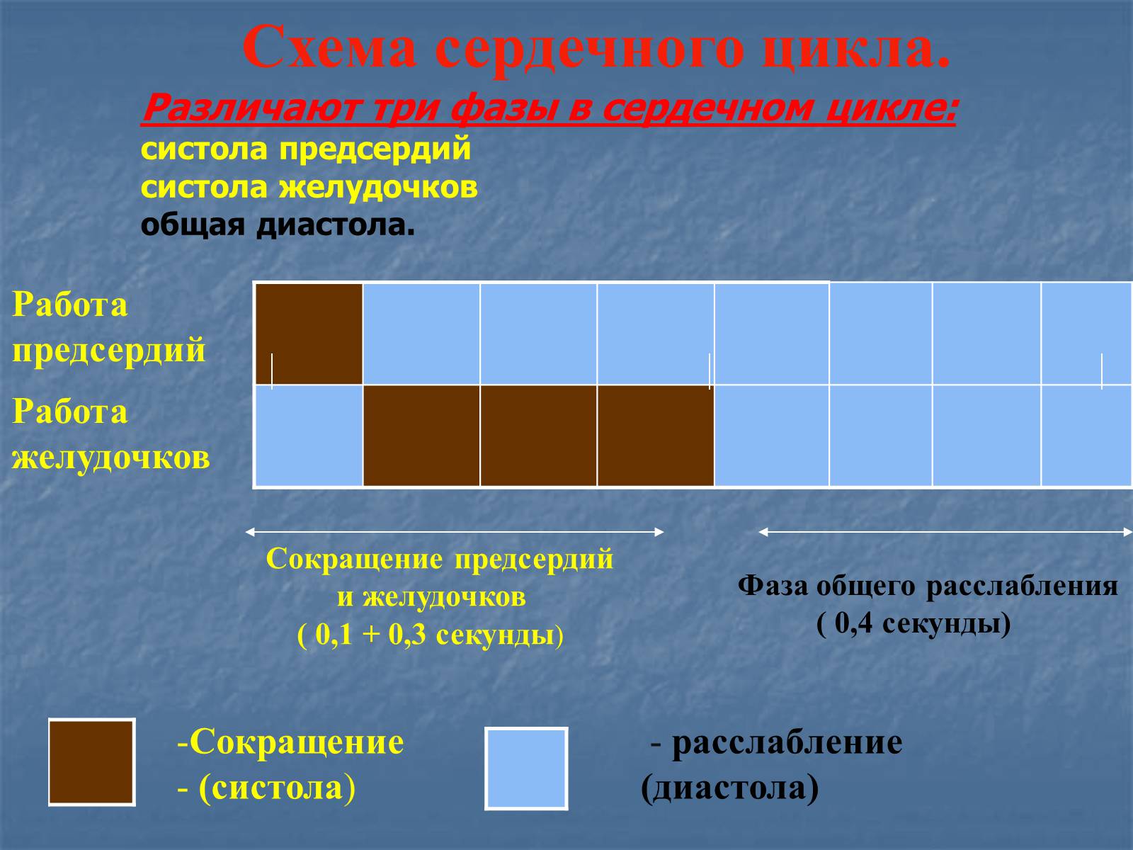 Презентація на тему «Строение и работа сердца» - Слайд #11