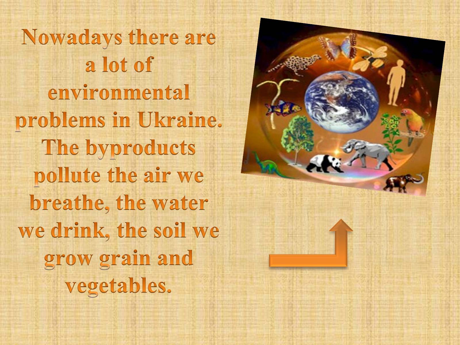 Презентація на тему «Environmental problems in Ukraine» - Слайд #2