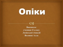 Презентація на тему «Опіки» (варіант 2)