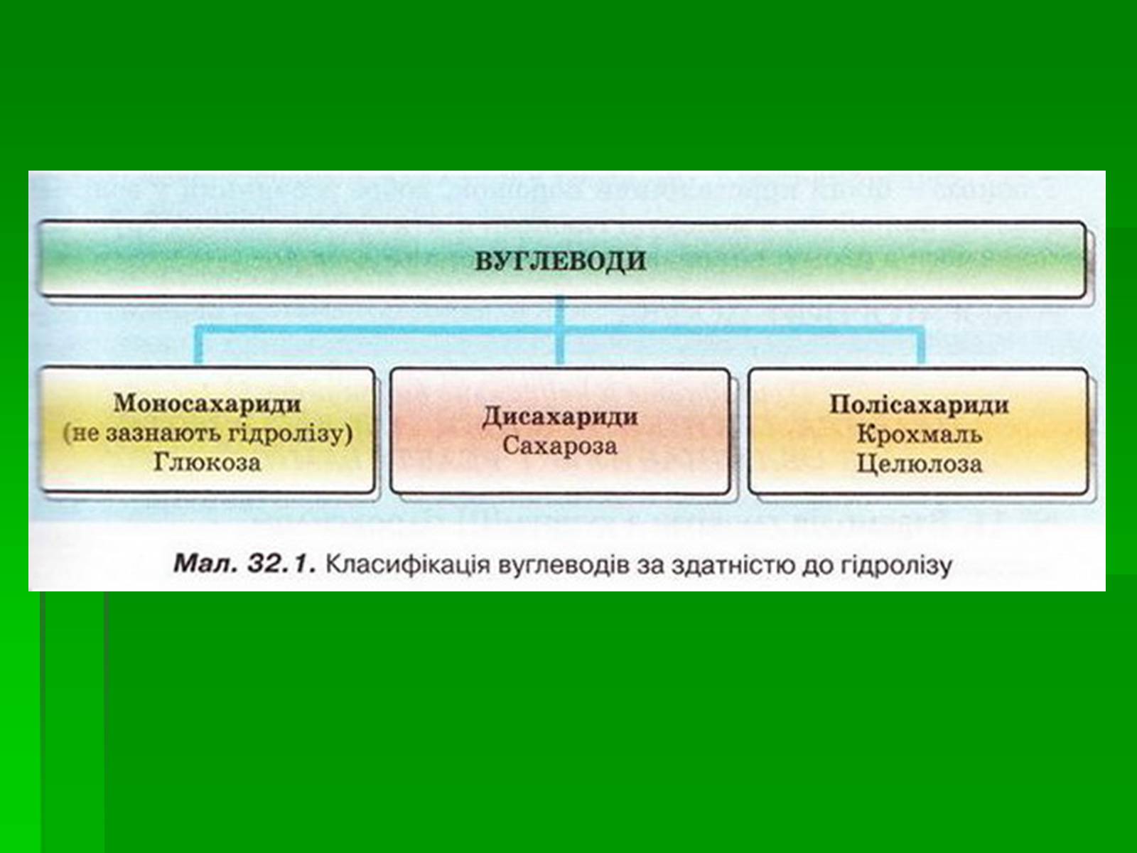 Презентація на тему «Добування сахарози» - Слайд #2