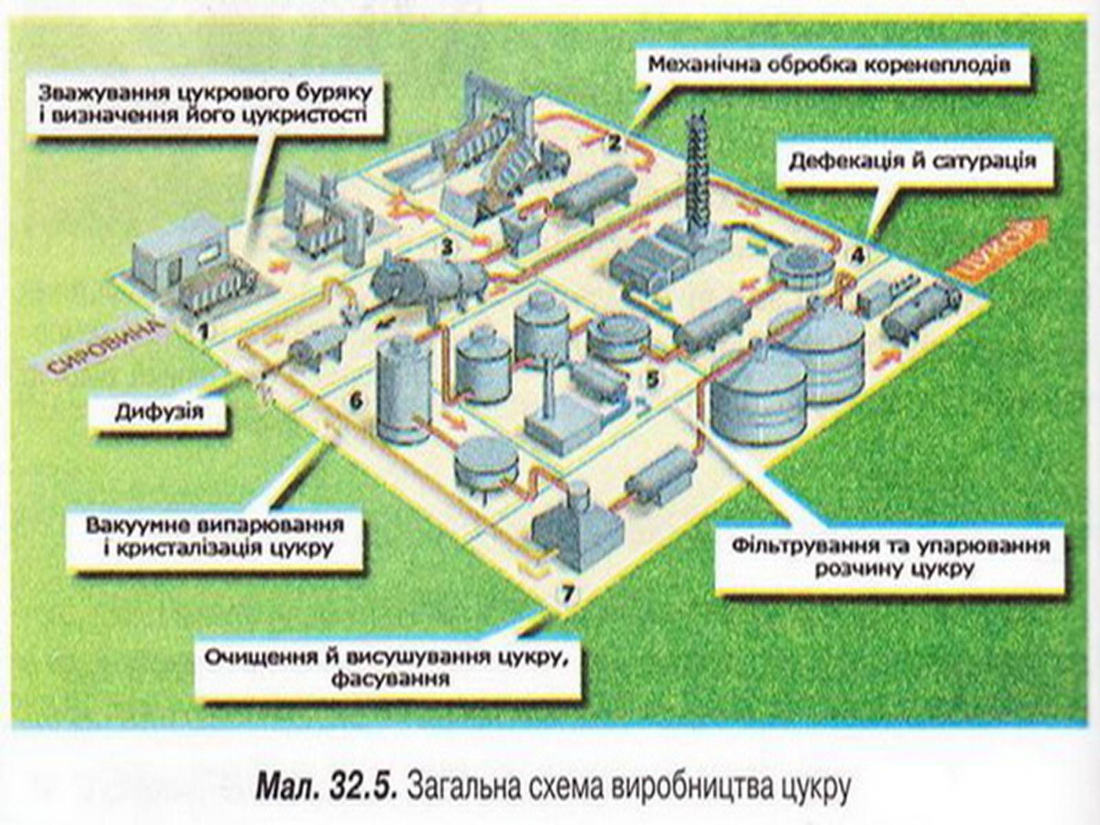 Презентація на тему «Добування сахарози» - Слайд #9