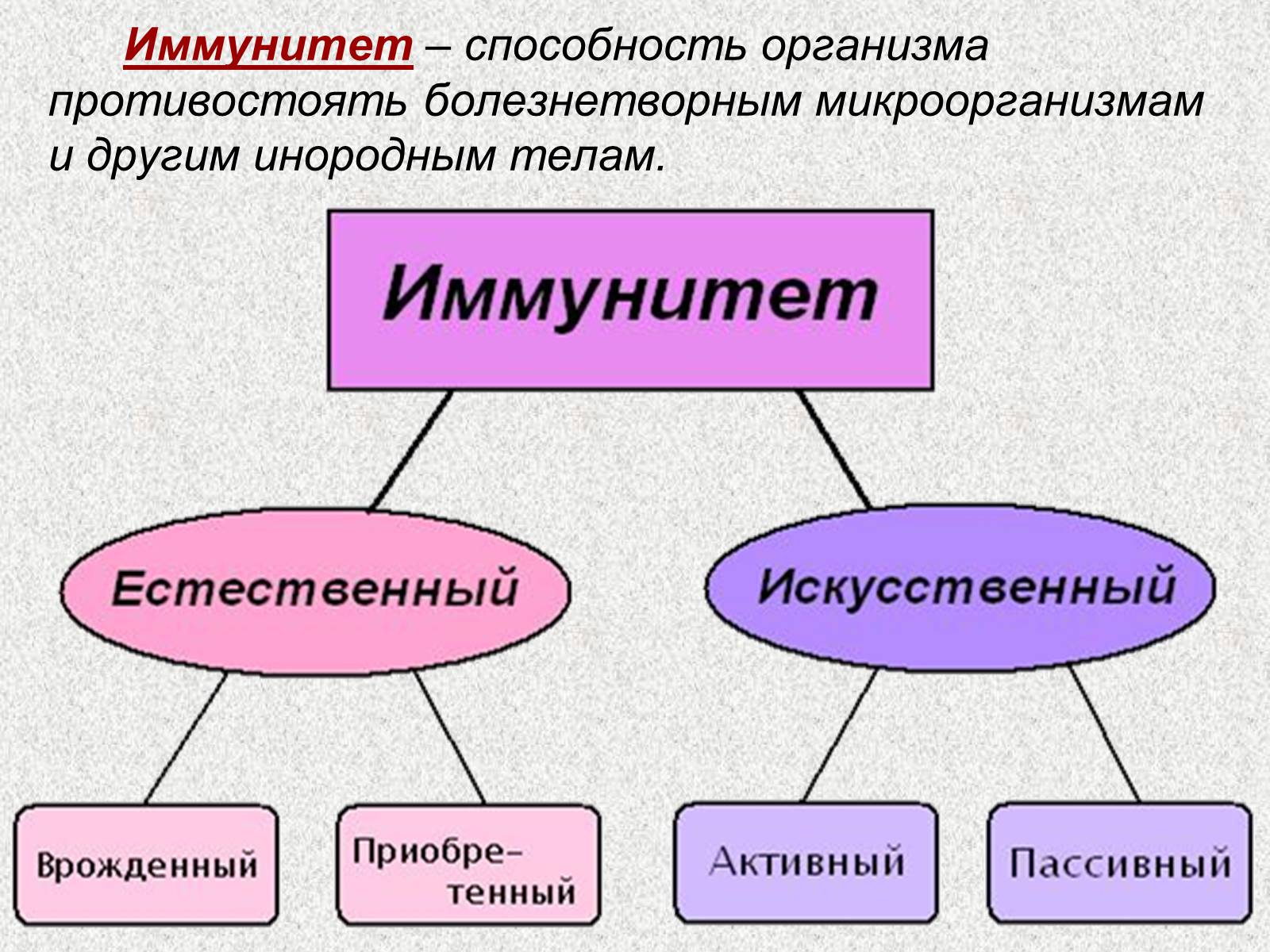 Презентація на тему «Внутренняя среда организма» (варіант 1) - Слайд #13