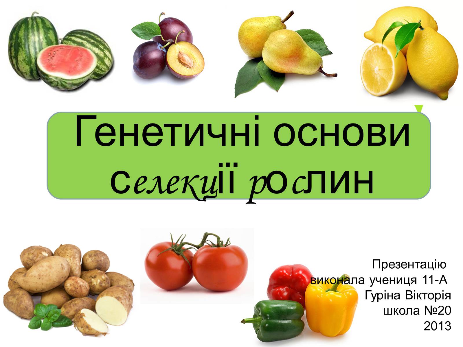 Презентація на тему «Генетичні основи селекції рослин» (варіант 2) - Слайд #1