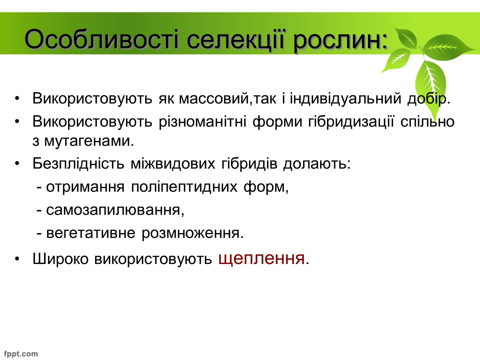 Презентація на тему «Генетичні основи селекції рослин» (варіант 2) - Слайд #6