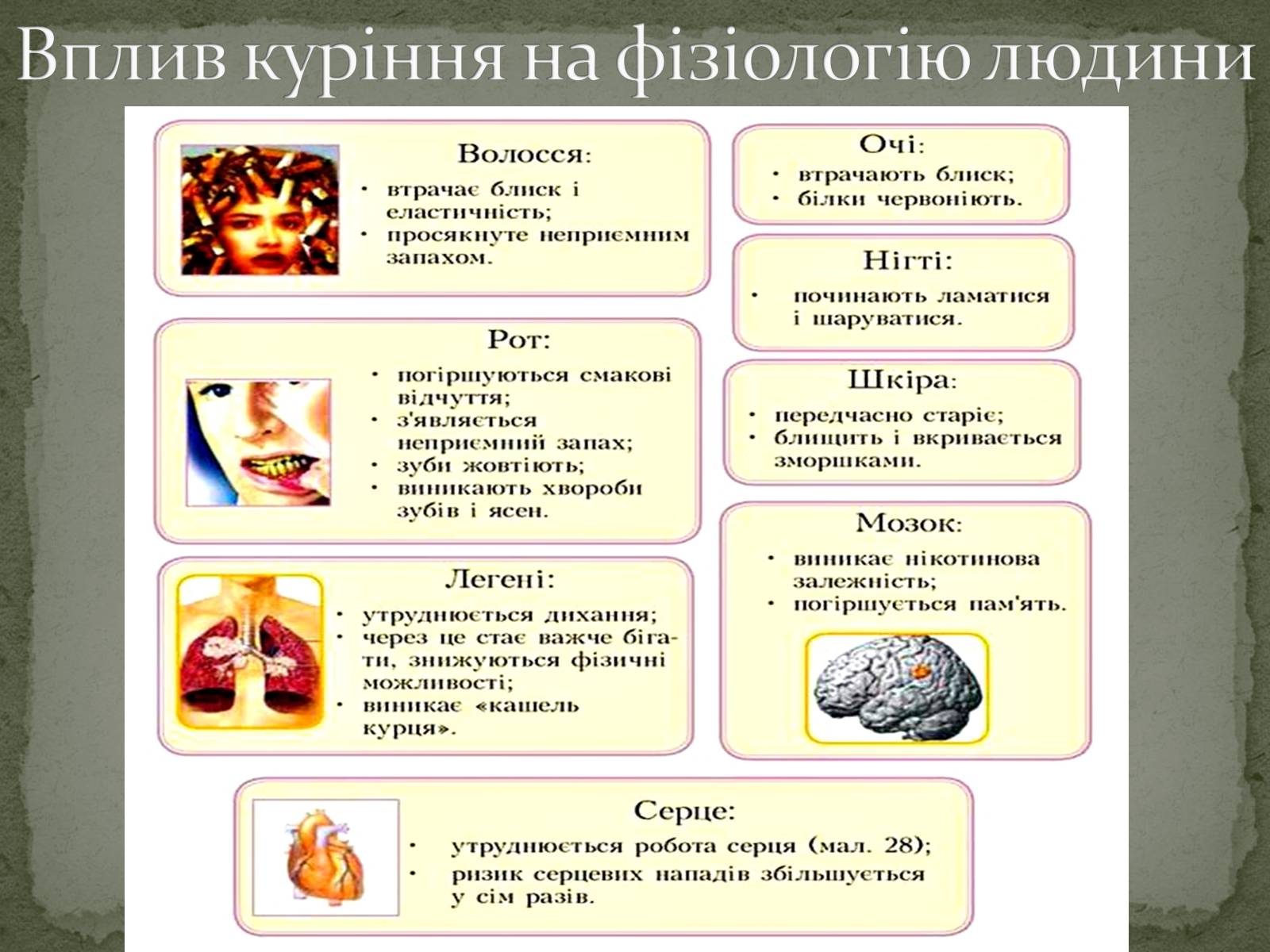 Презентація на тему «Тютюнопаління» (варіант 5) - Слайд #19