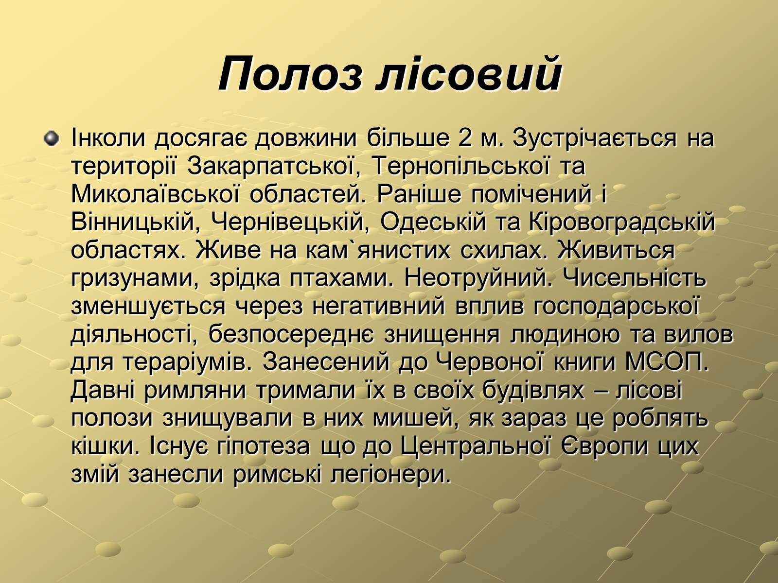 Презентація на тему «Плазуни» (варіант 3) - Слайд #13