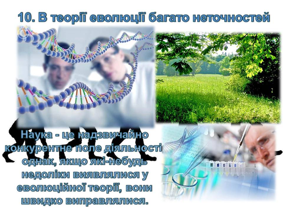 Презентація на тему «14 головних помилок про еволюцію» - Слайд #12