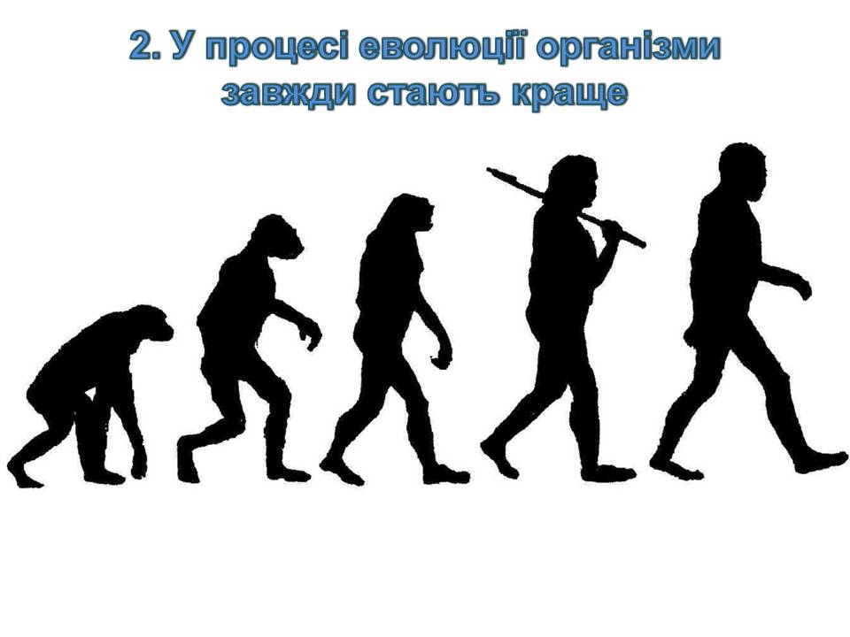 Презентація на тему «14 головних помилок про еволюцію» - Слайд #3