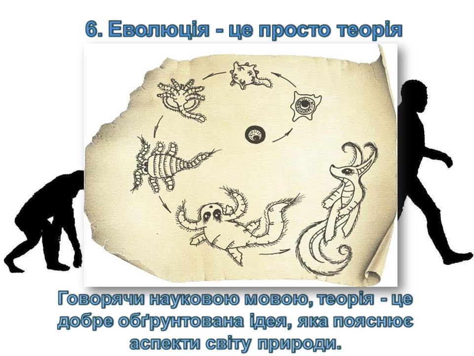 Презентація на тему «14 головних помилок про еволюцію» - Слайд #8