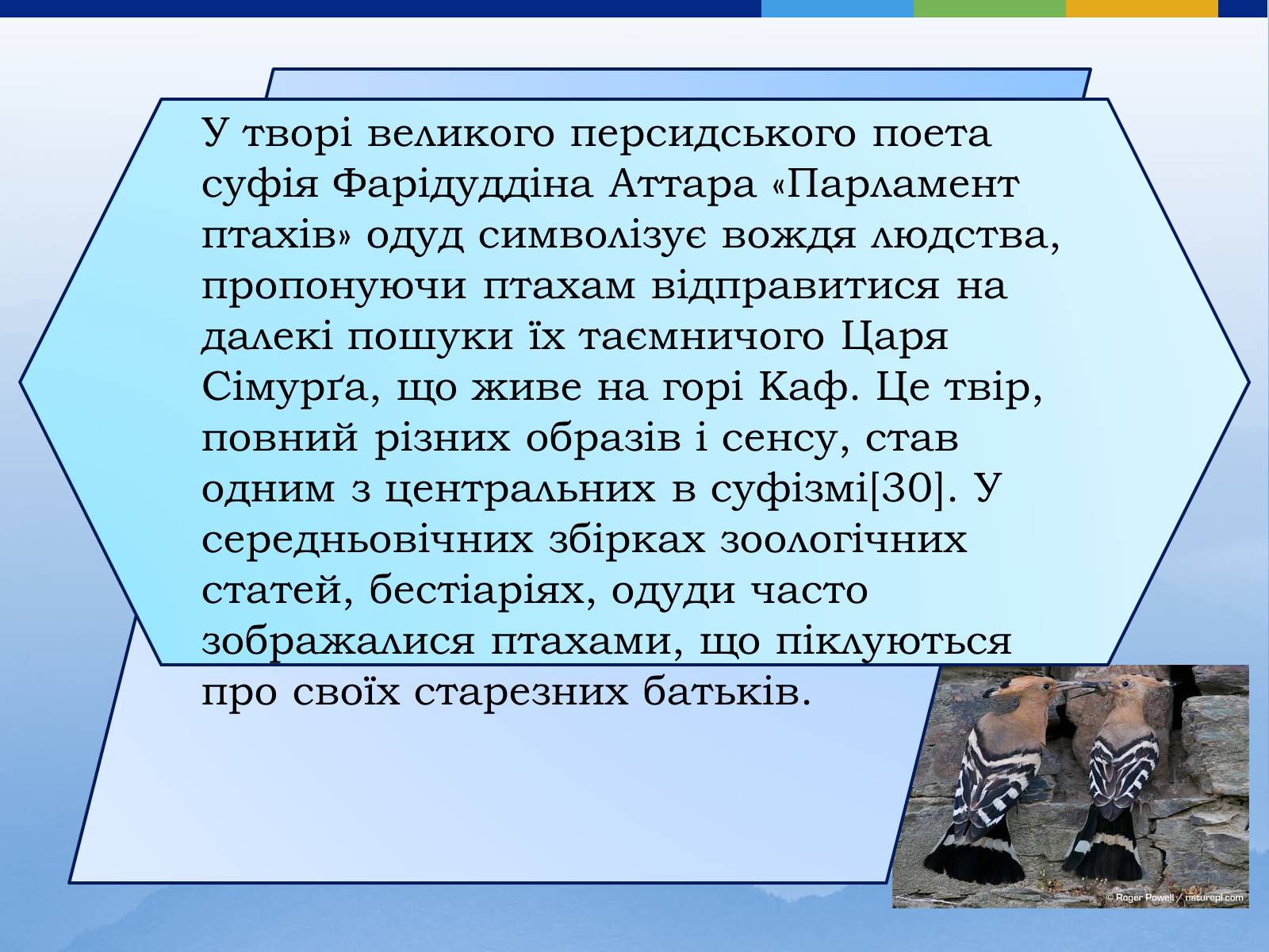 Презентація на тему «Одуд» - Слайд #21