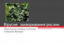 Презентація на тему «Вірусне захворювання рослин»