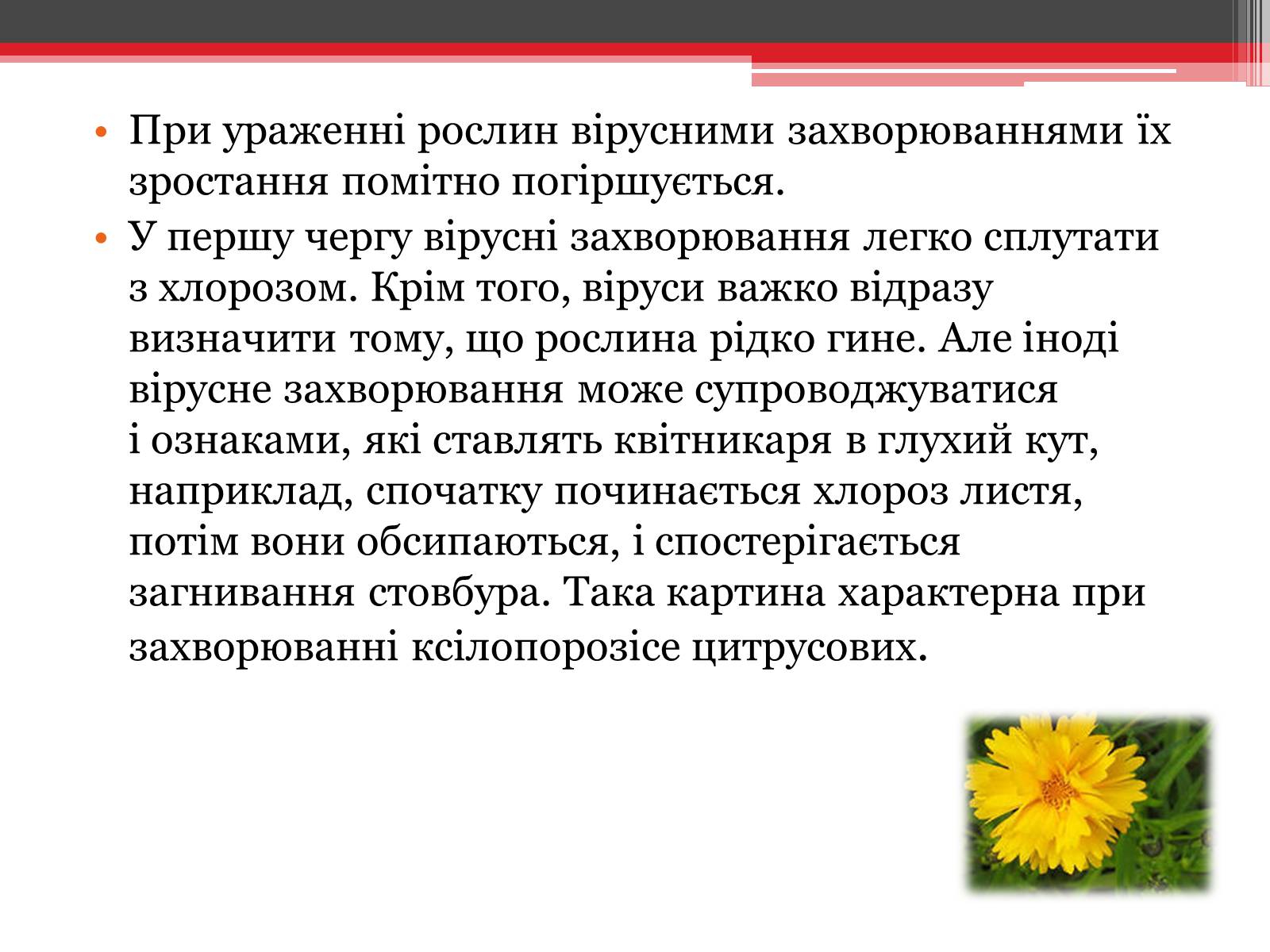 Презентація на тему «Вірусне захворювання рослин» - Слайд #2