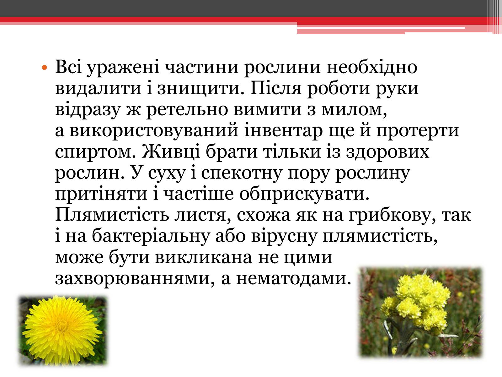 Презентація на тему «Вірусне захворювання рослин» - Слайд #7