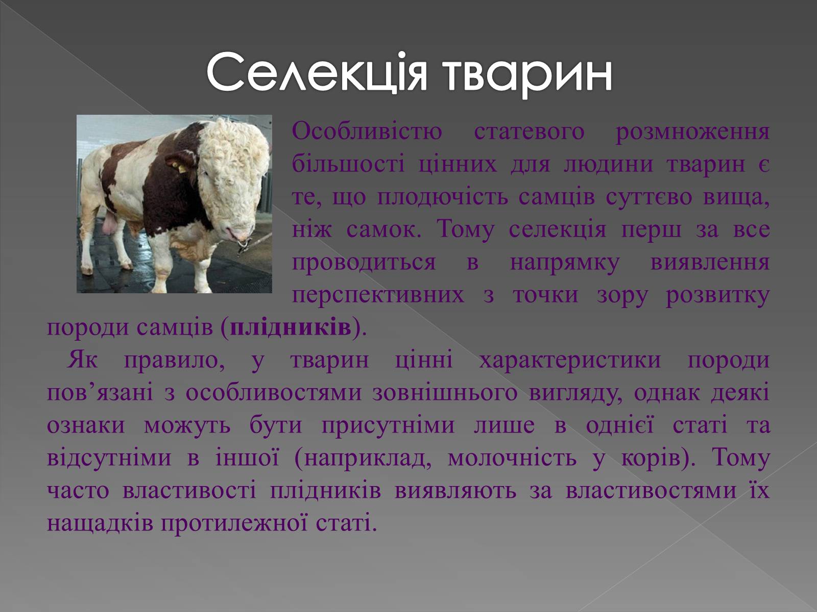 Презентація на тему «Основи селекції» - Слайд #12