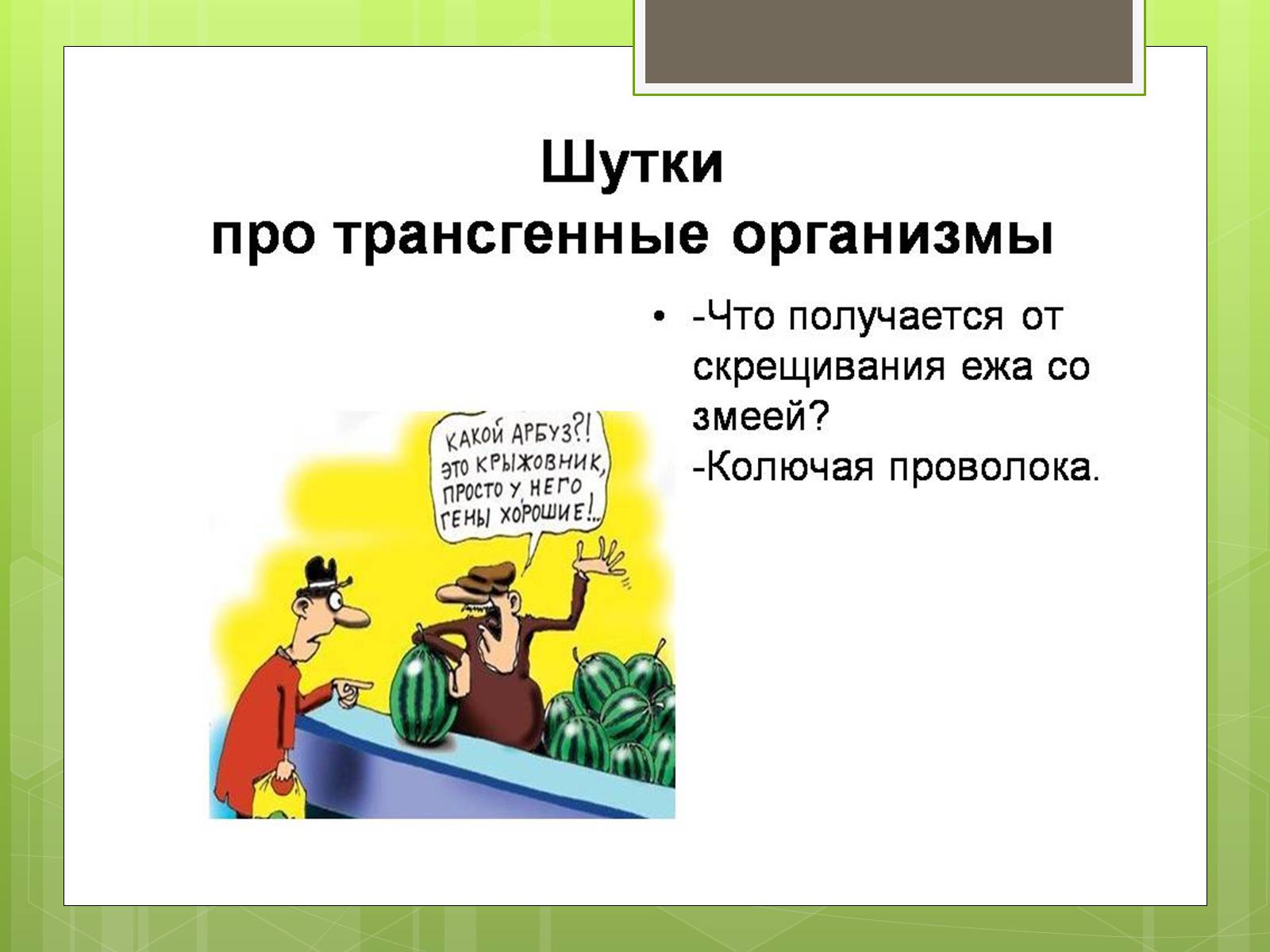 Презентація на тему «Трансгенный организм» - Слайд #12