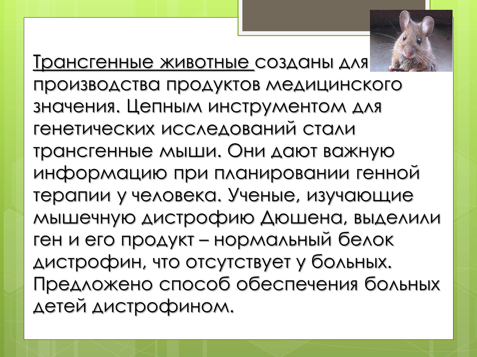 Презентація на тему «Трансгенный организм» - Слайд #8