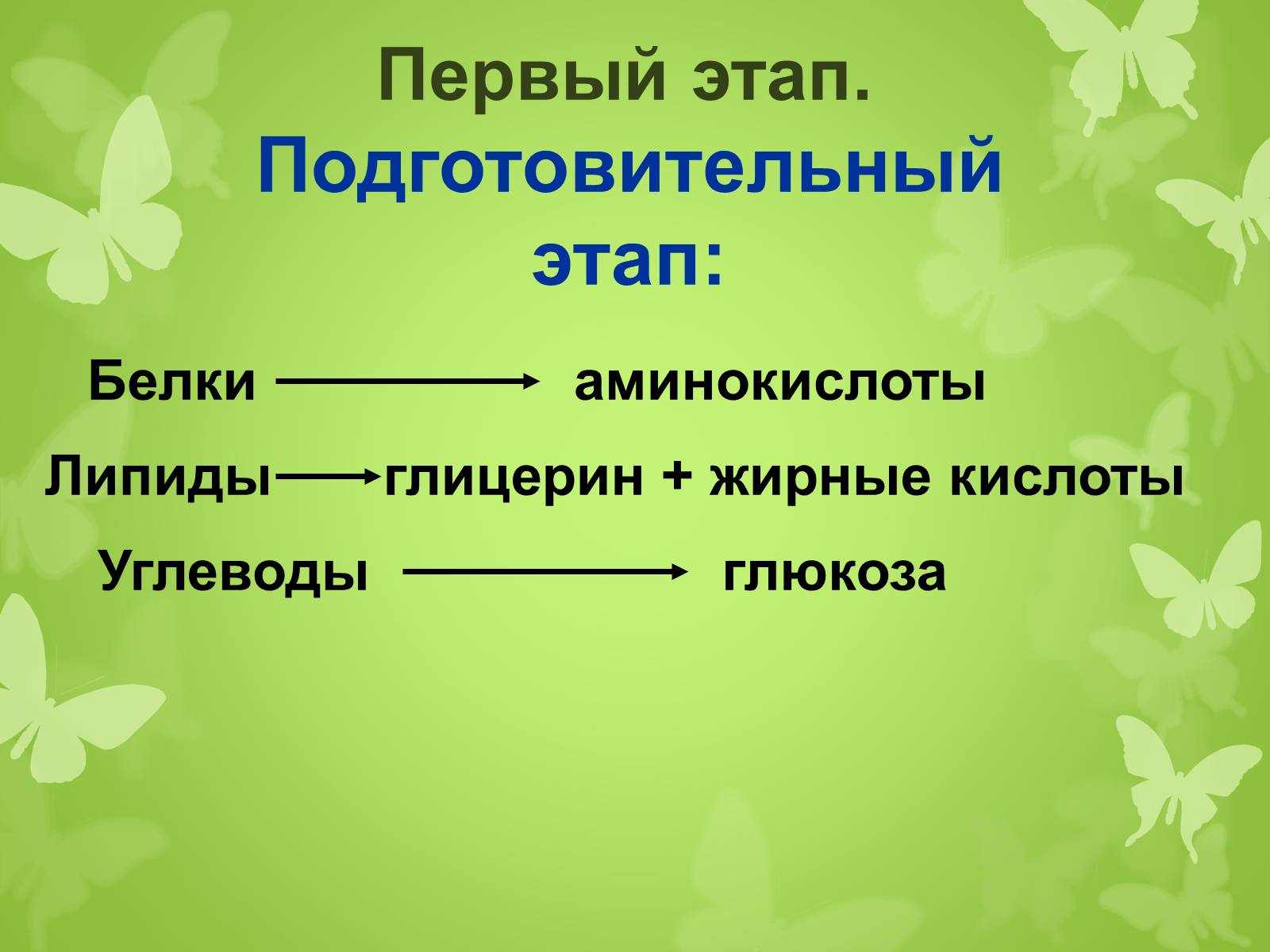 Презентація на тему «ЭНЕРГЕТИЧЕСКИЙ ОБМЕН» - Слайд #3