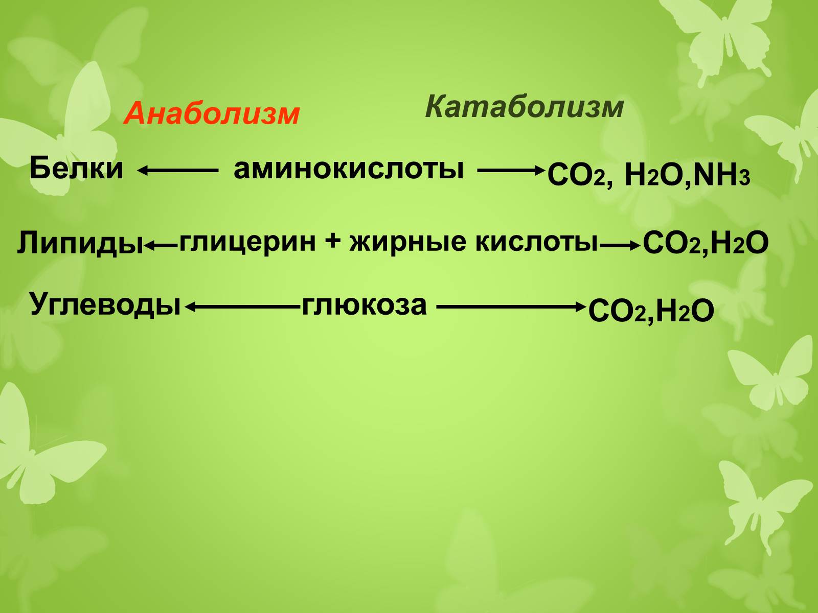 Презентація на тему «ЭНЕРГЕТИЧЕСКИЙ ОБМЕН» - Слайд #4