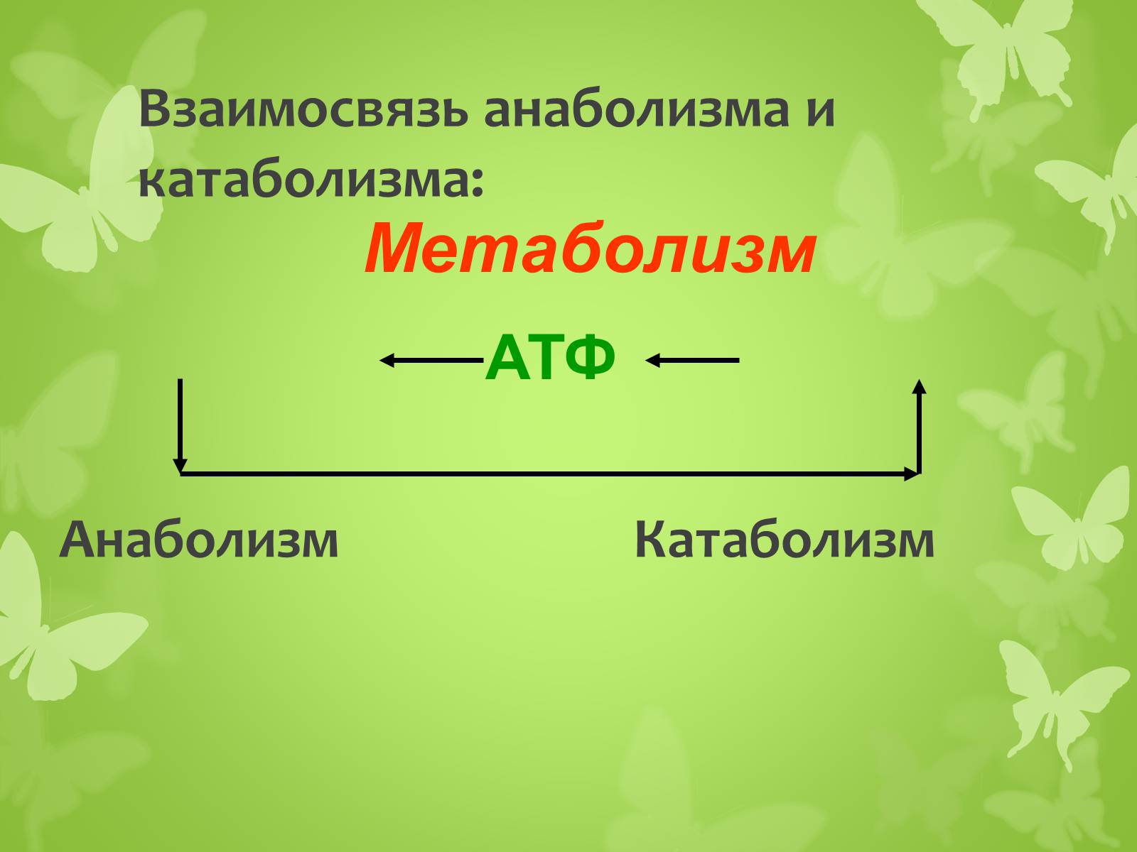 Презентація на тему «ЭНЕРГЕТИЧЕСКИЙ ОБМЕН» - Слайд #5