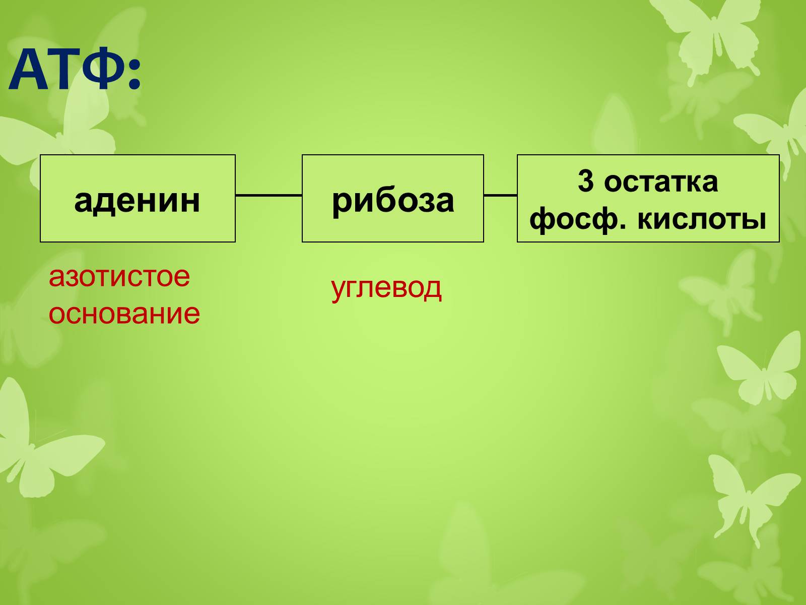 Презентація на тему «ЭНЕРГЕТИЧЕСКИЙ ОБМЕН» - Слайд #6