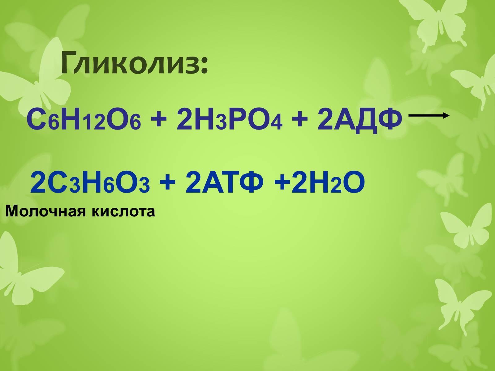 Презентація на тему «ЭНЕРГЕТИЧЕСКИЙ ОБМЕН» - Слайд #9