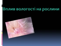 Презентація на тему «Вплив вологості на рослини»