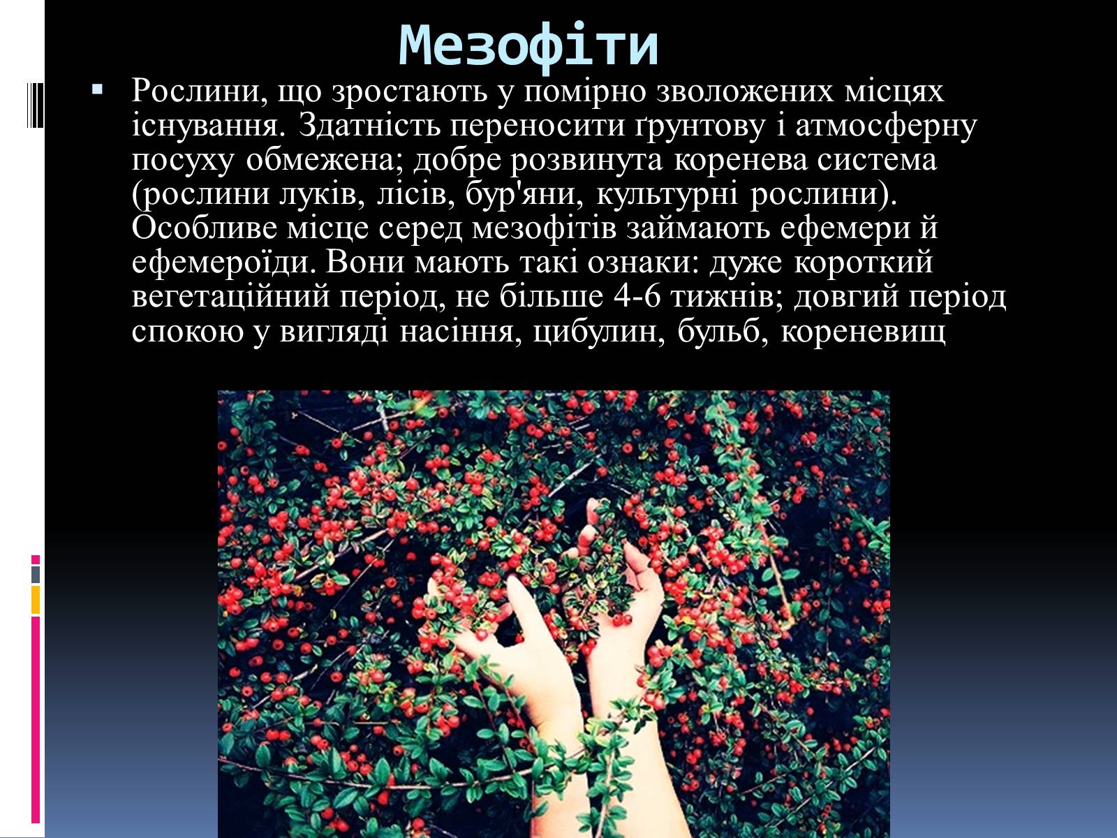 Презентація на тему «Вплив вологості на рослини» - Слайд #10