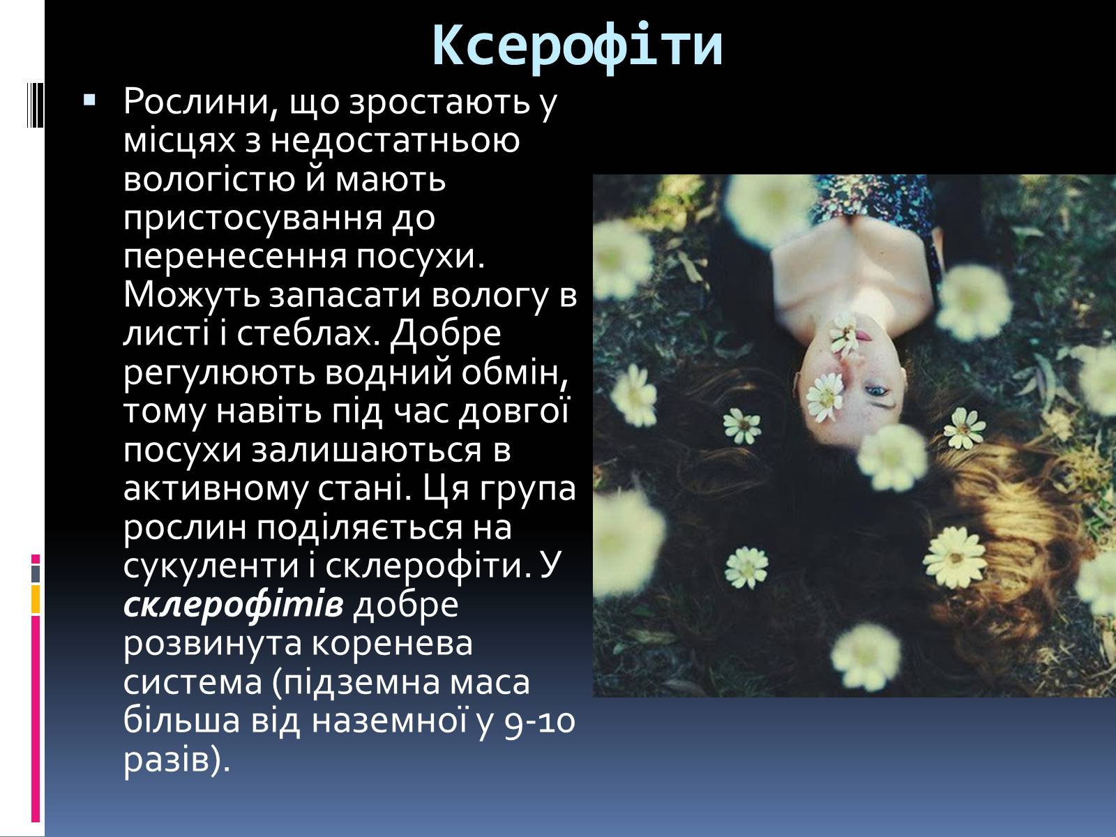 Презентація на тему «Вплив вологості на рослини» - Слайд #12