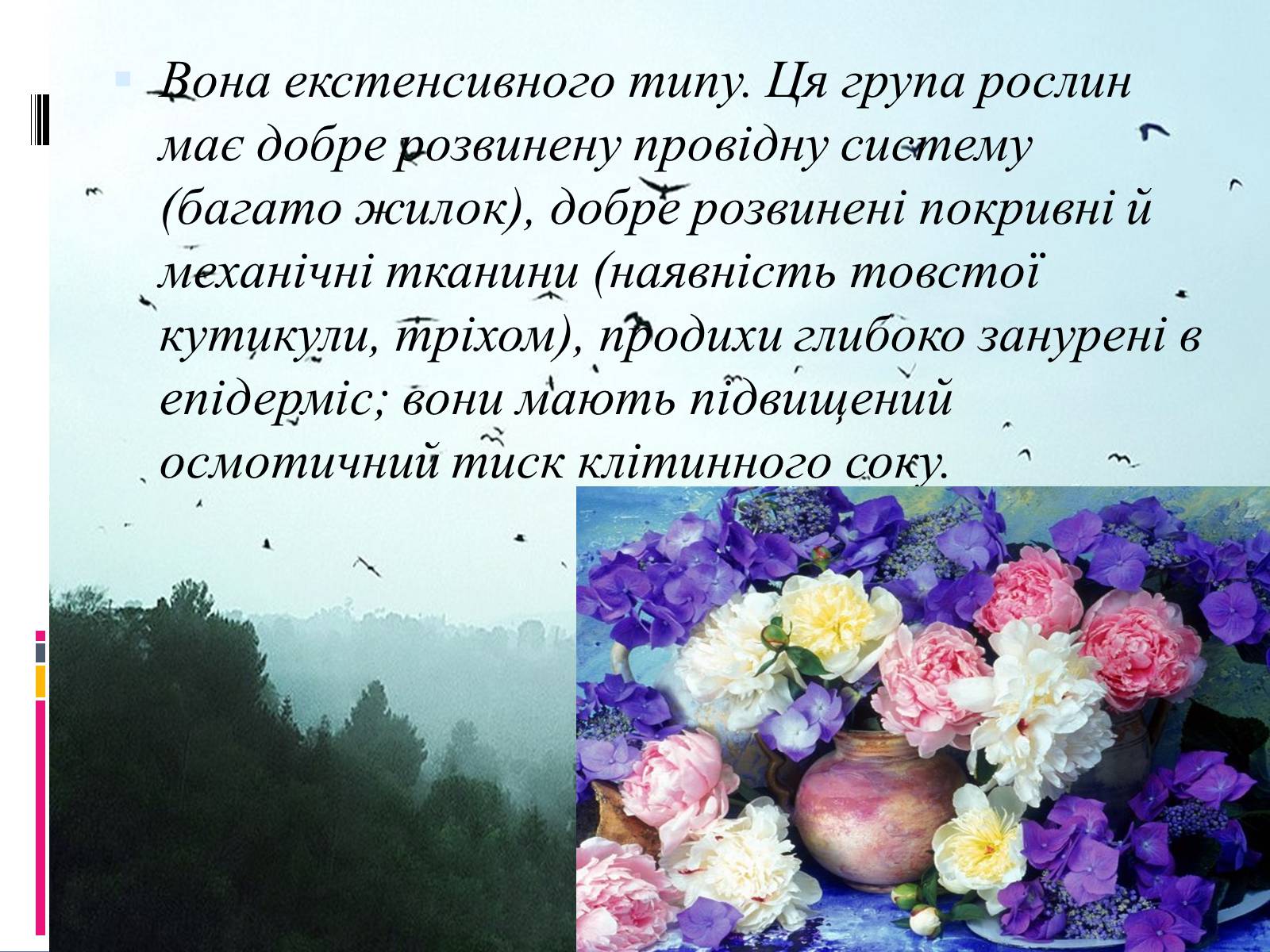 Презентація на тему «Вплив вологості на рослини» - Слайд #13