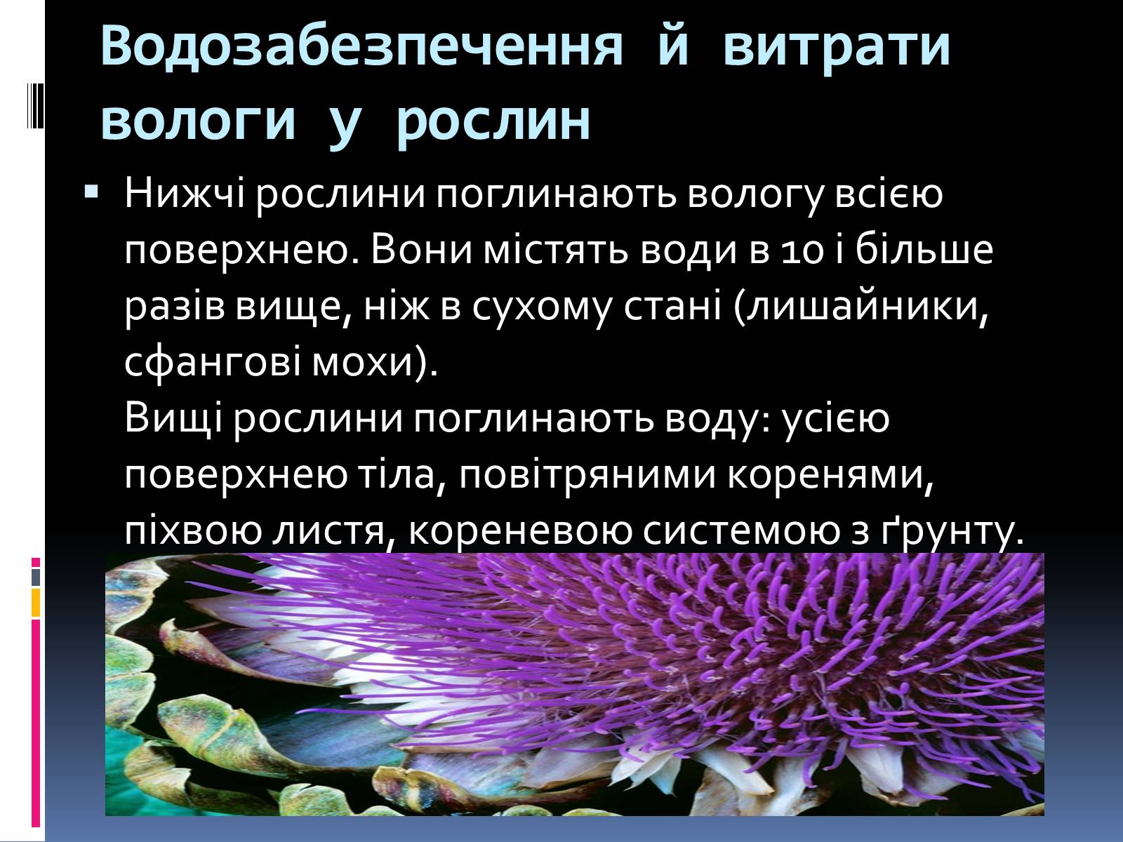 Презентація на тему «Вплив вологості на рослини» - Слайд #2