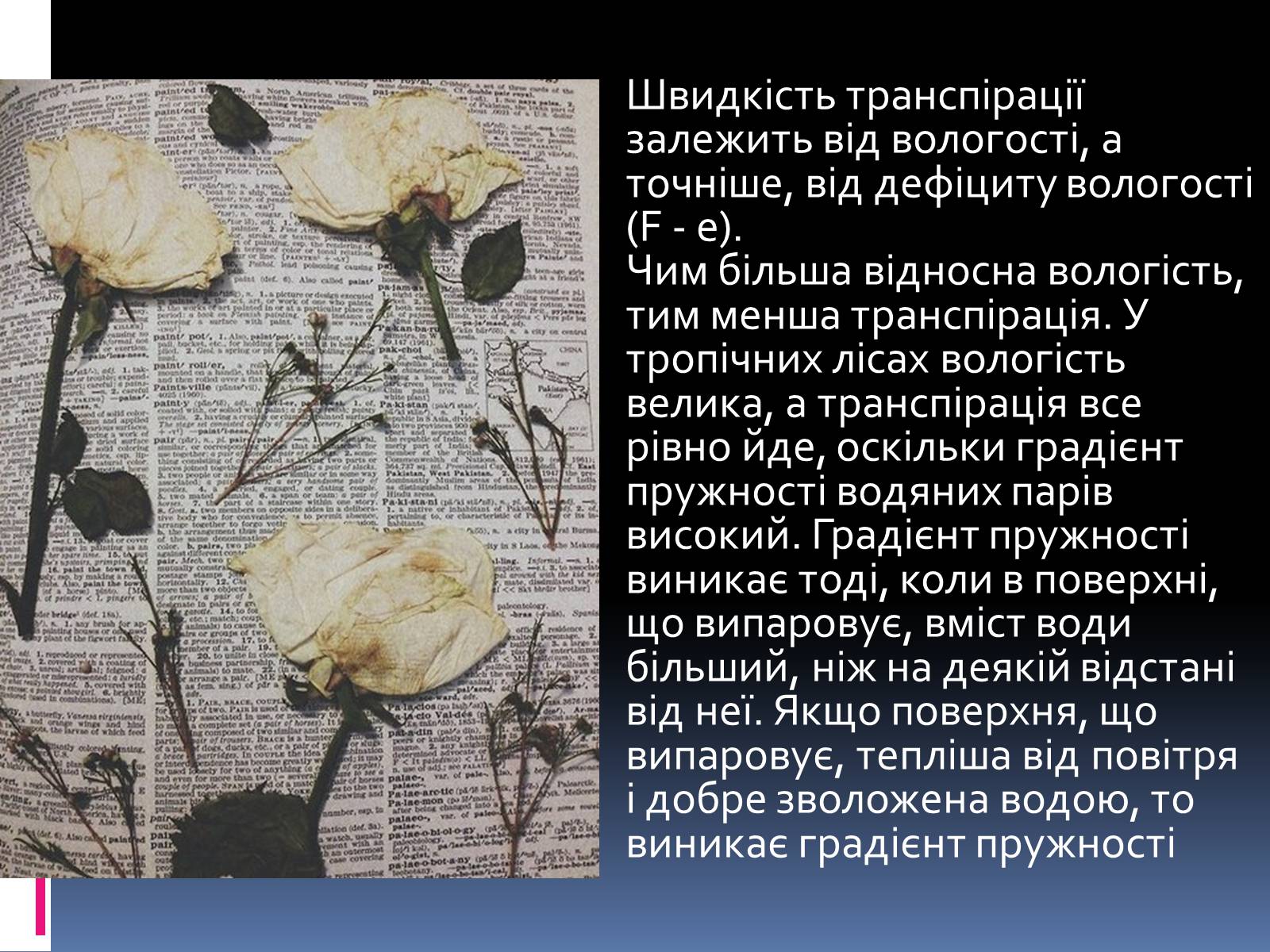 Презентація на тему «Вплив вологості на рослини» - Слайд #5