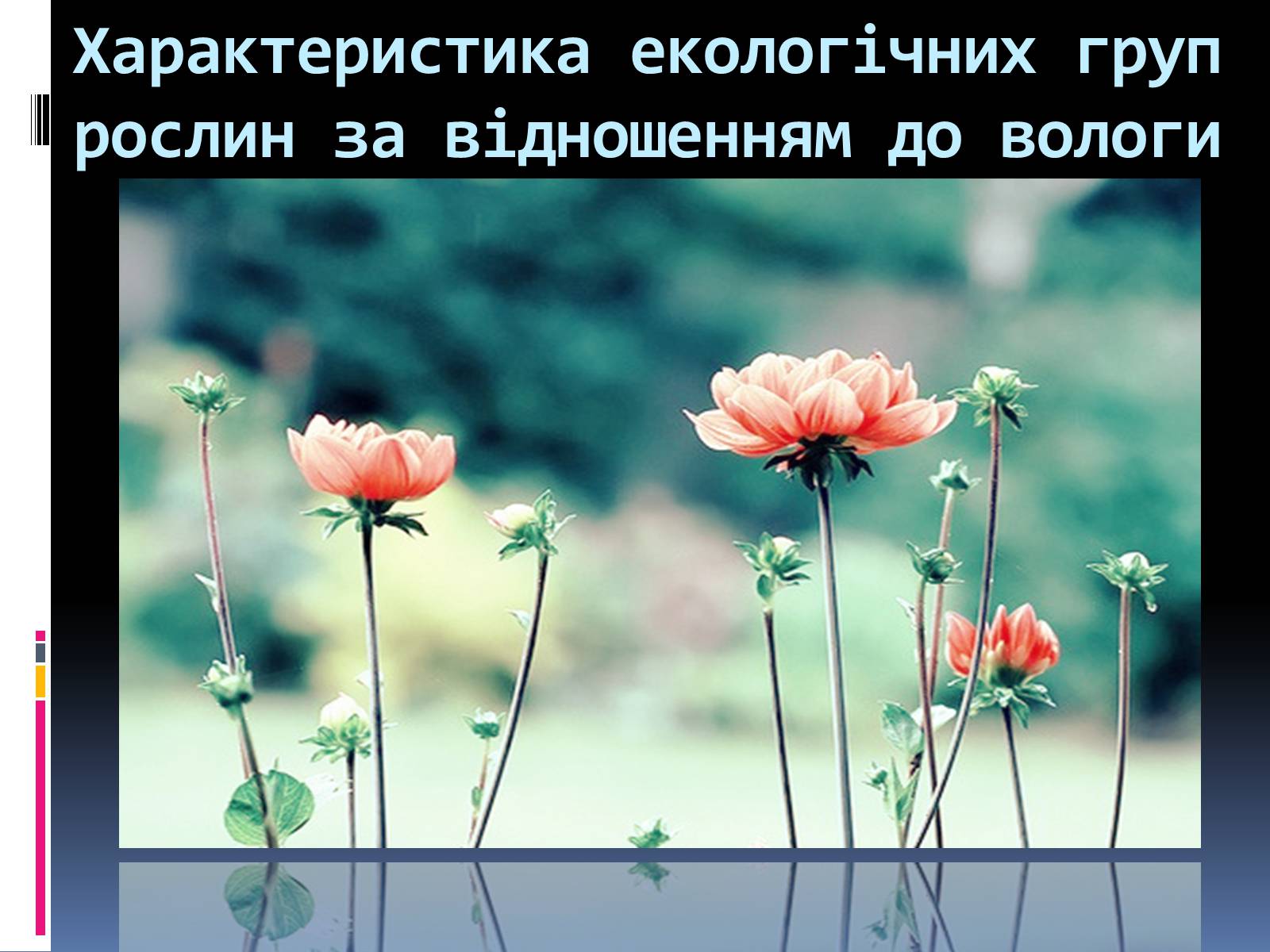 Презентація на тему «Вплив вологості на рослини» - Слайд #6