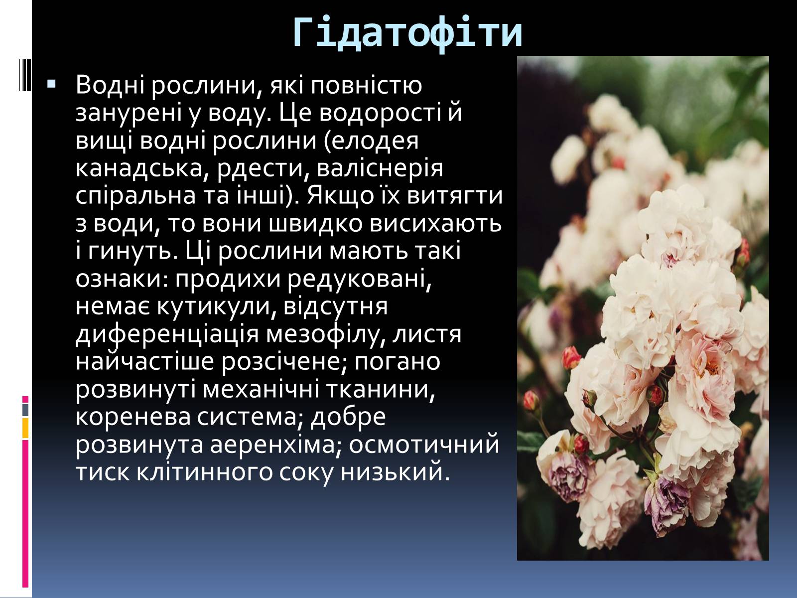 Презентація на тему «Вплив вологості на рослини» - Слайд #7