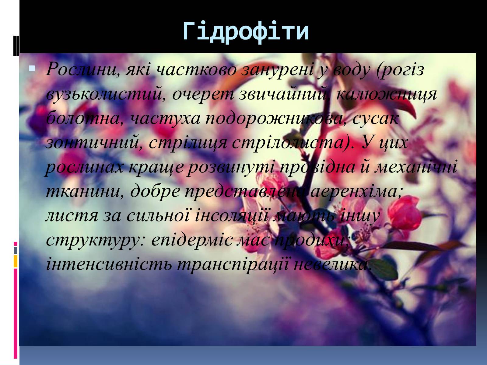 Презентація на тему «Вплив вологості на рослини» - Слайд #8