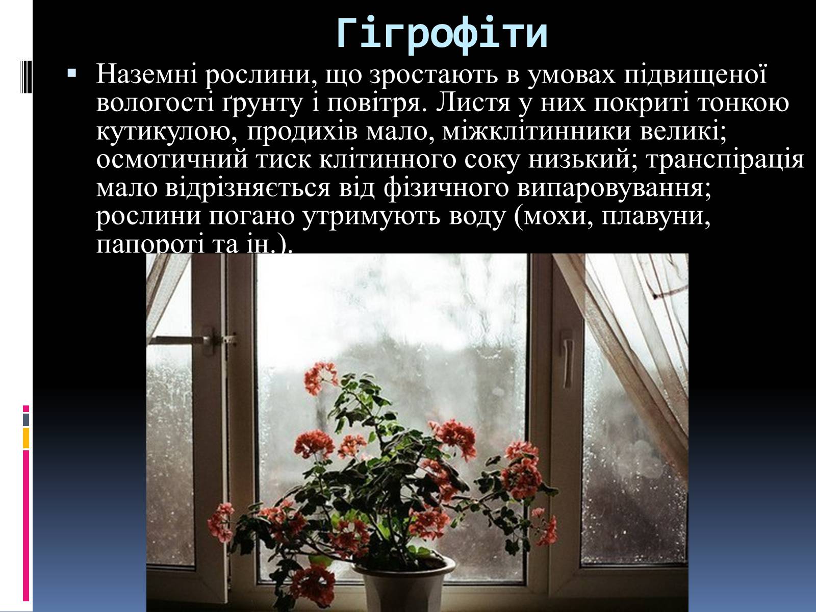 Презентація на тему «Вплив вологості на рослини» - Слайд #9