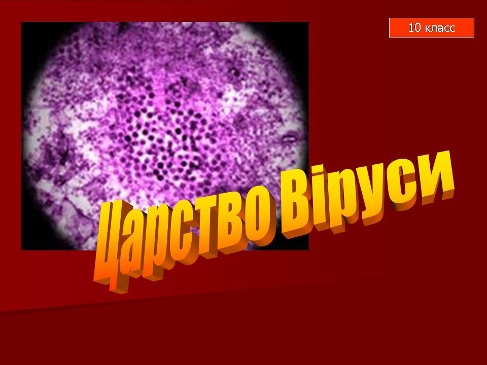 Презентація на тему «Царство Віруси» - Слайд #1