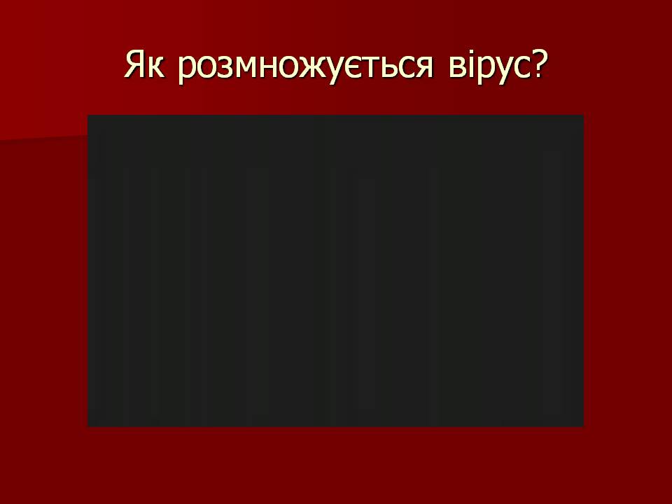 Презентація на тему «Царство Віруси» - Слайд #19