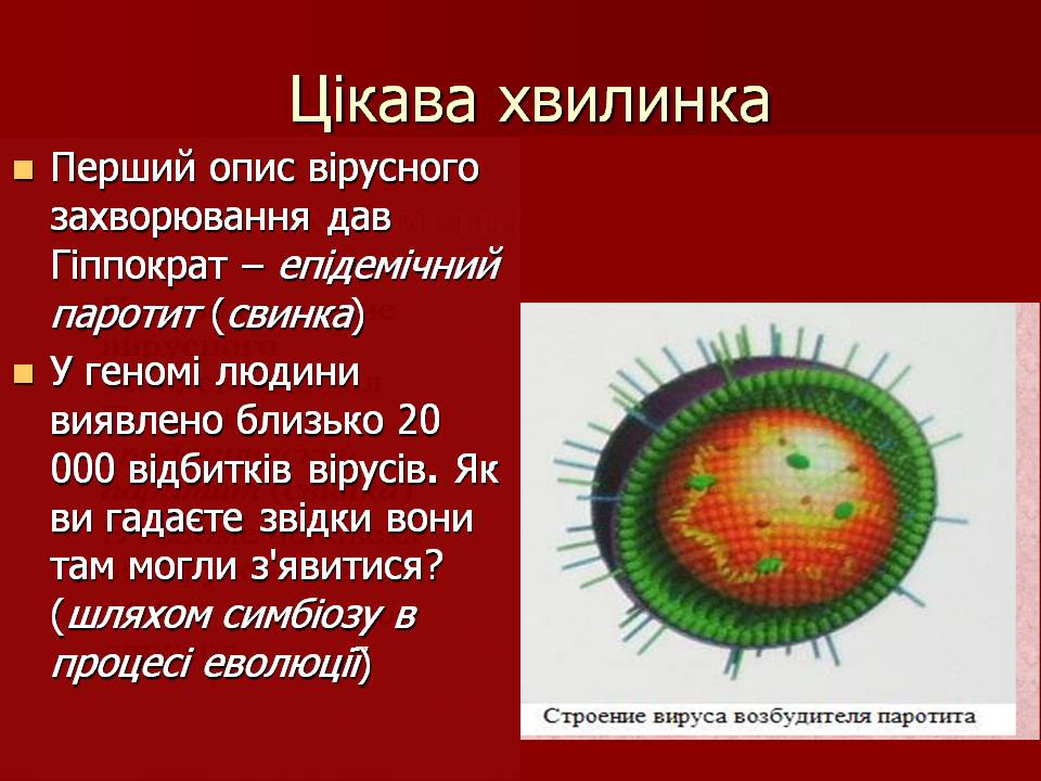 Презентація на тему «Царство Віруси» - Слайд #24