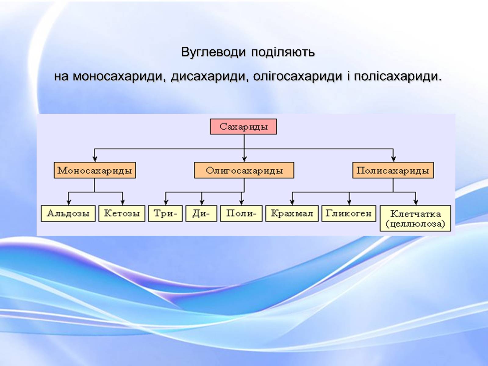 Презентація на тему «Вуглеводи як компоненти їжі, їх роль у житті людини» (варіант 18) - Слайд #6