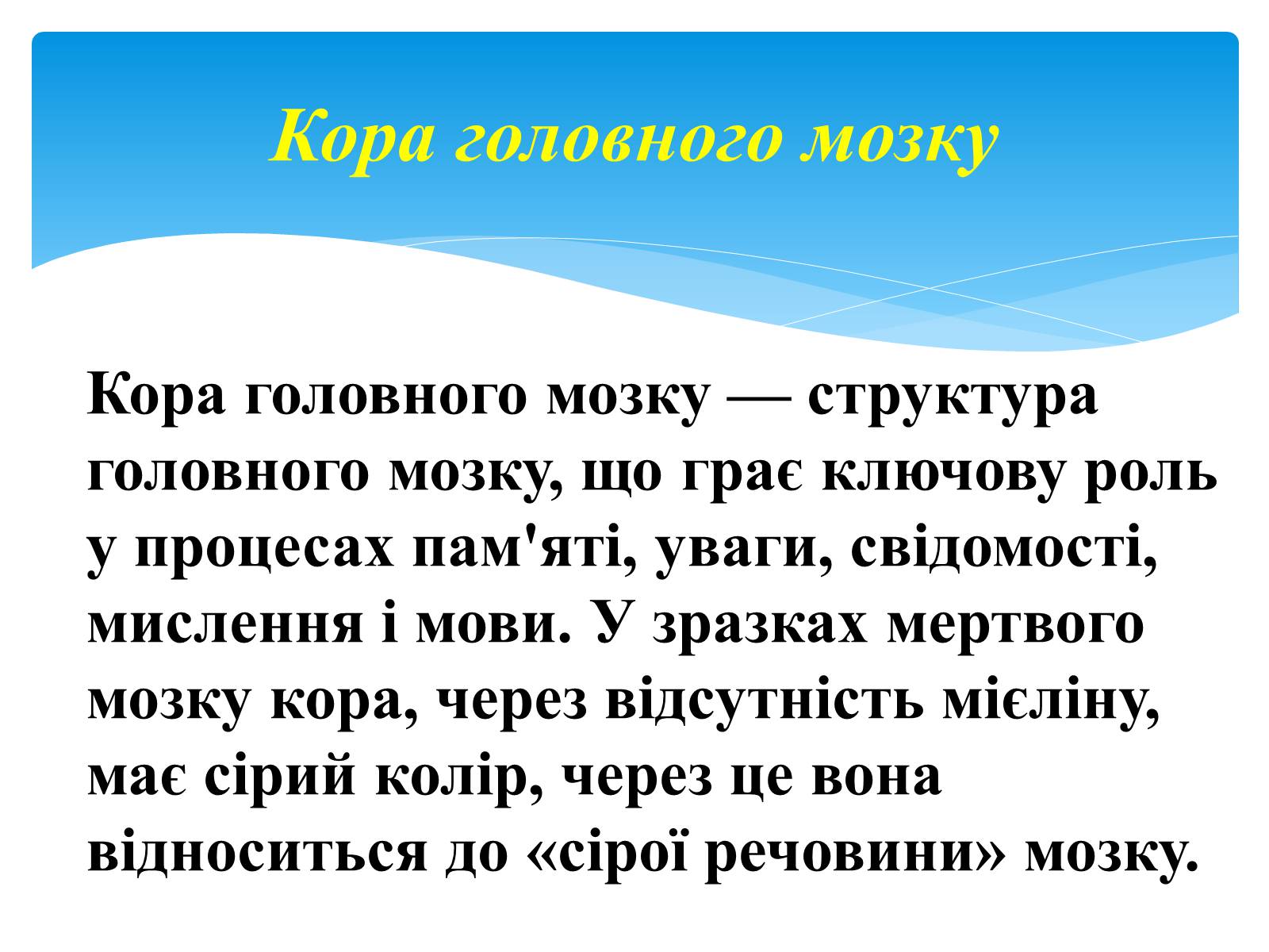 Презентація на тему «Кора головного мозку» - Слайд #2