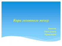 Презентація на тему «Кора головного мозку»