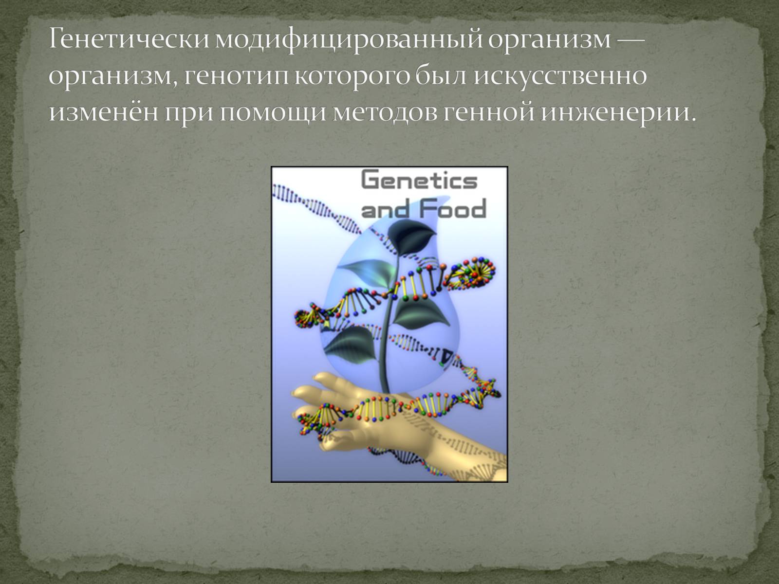 Презентація на тему «Генетически модифицированный организм» - Слайд #1