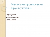 Презентація на тему «Механізми проникнення вірусів у клітини»