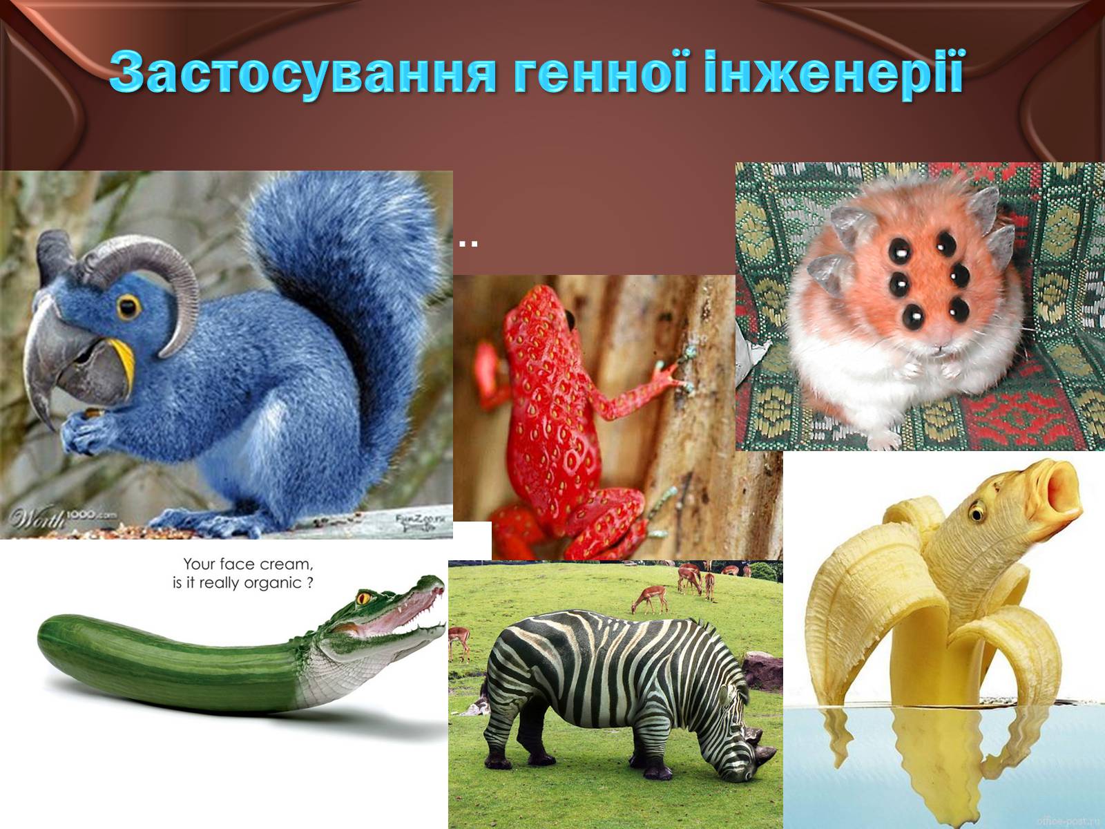 Презентація на тему «Основні положення ті досягнення біотехнологій» - Слайд #12