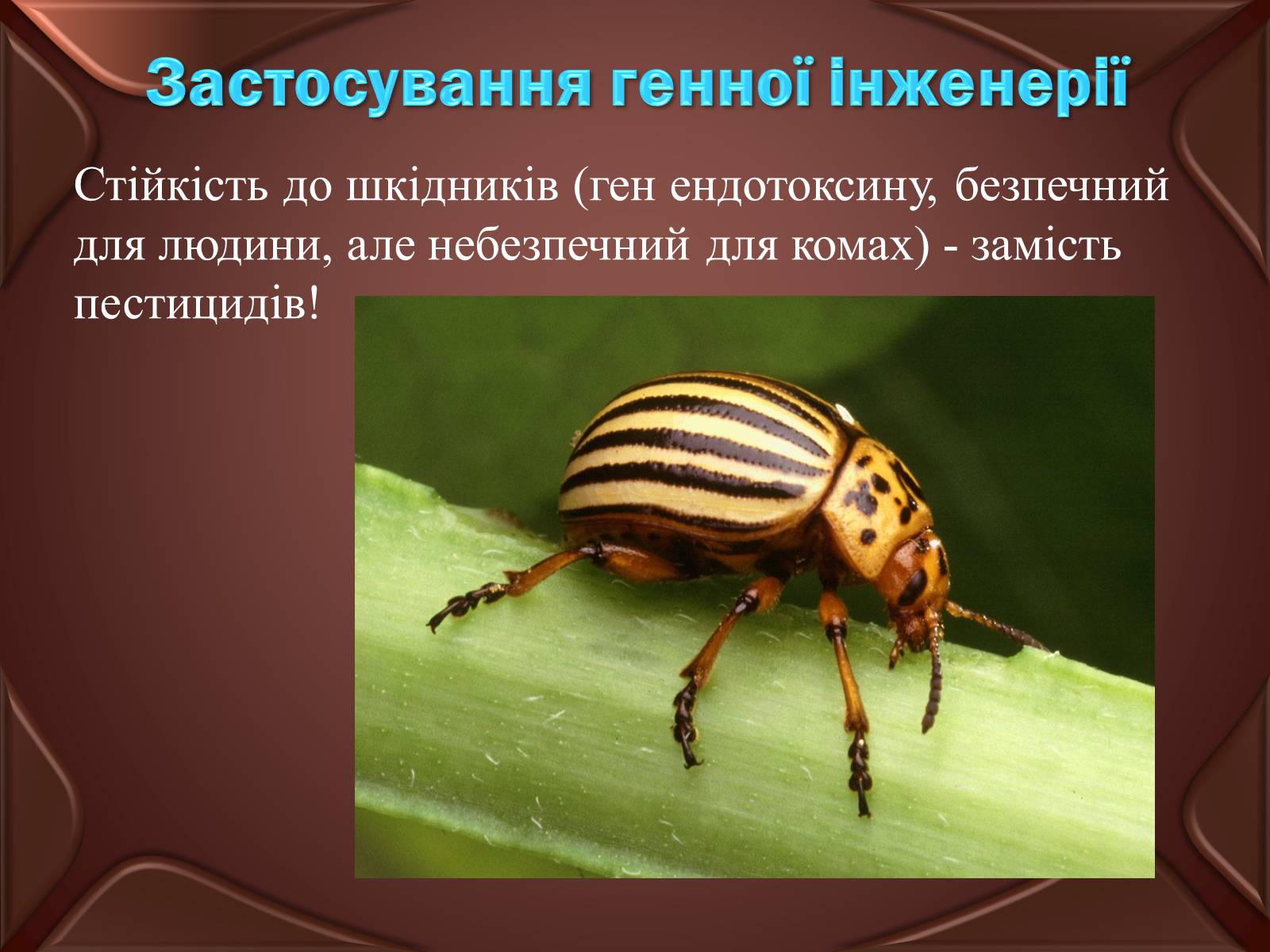 Презентація на тему «Основні положення ті досягнення біотехнологій» - Слайд #6