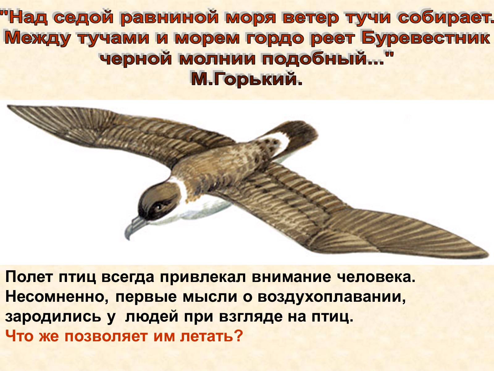 Буревестник текст. Над седой равниной моря гордо реет Буревестник. Буревестник стих. Гордо реет Буревестник черной молнии подобный. Стихотворение гордо реет Буревестник.